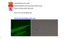 Desktop Screenshot of neurobio.unileon.es