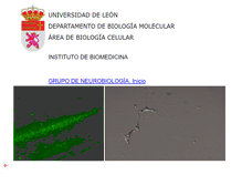 Tablet Screenshot of neurobio.unileon.es